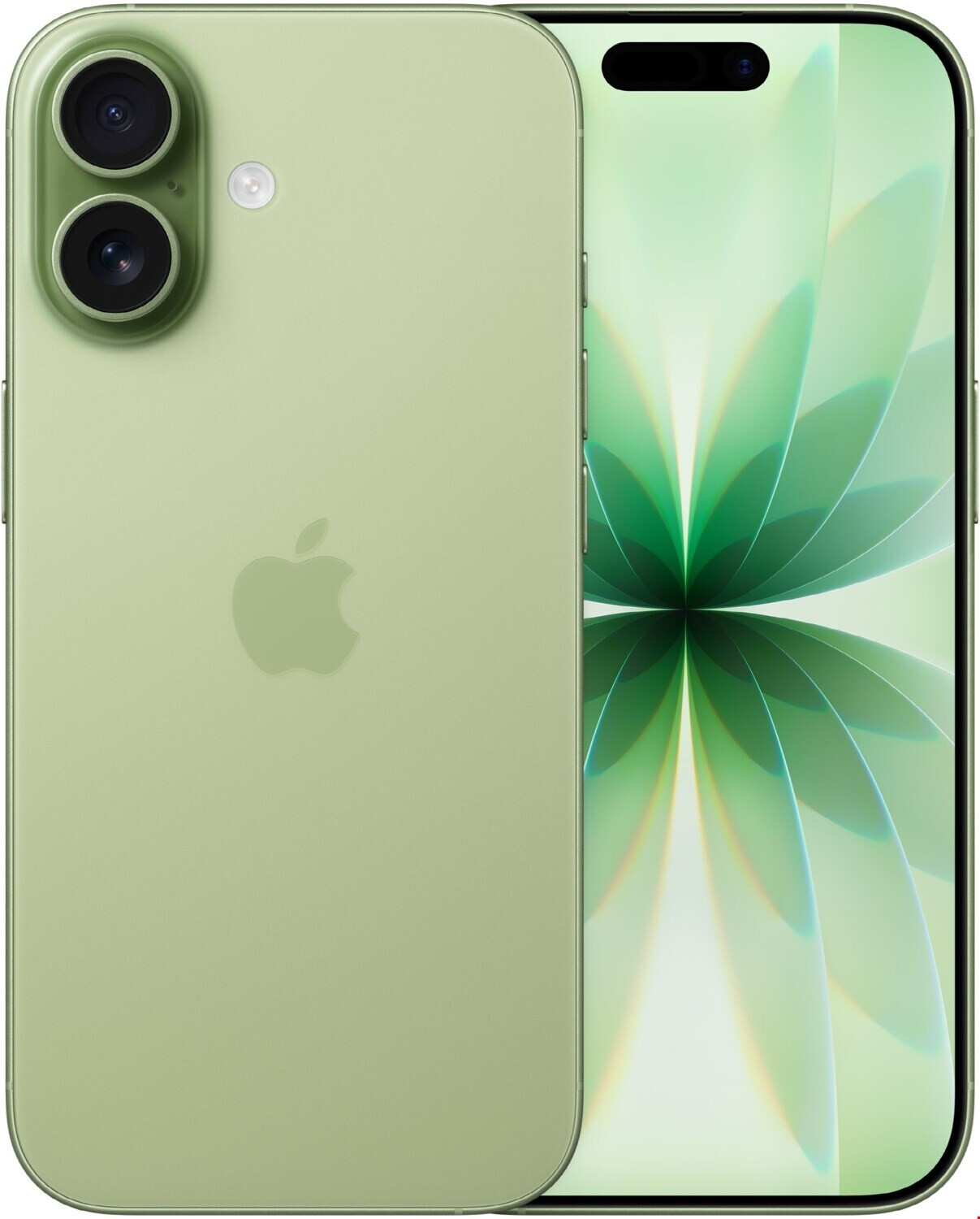 Apple iPhone 17 256GB verde salvia Desprecintado - Como nuevo Apple iPhone 17 256GB verde salvia Desprecintado - Como nuevo - Imagen 1