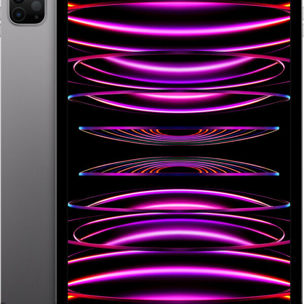 Apple iPad Pro 11 (2022) 1TB WiFi + 5G gris espacial