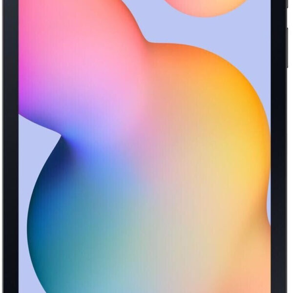 Samsung Galaxy Tab S6 Lite (2022) 128GB WiFi gris (2022) (EU)