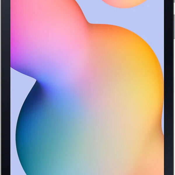 Samsung Galaxy Tab S6 Lite (2022) 64GB WiFi gris (2022) (EU)