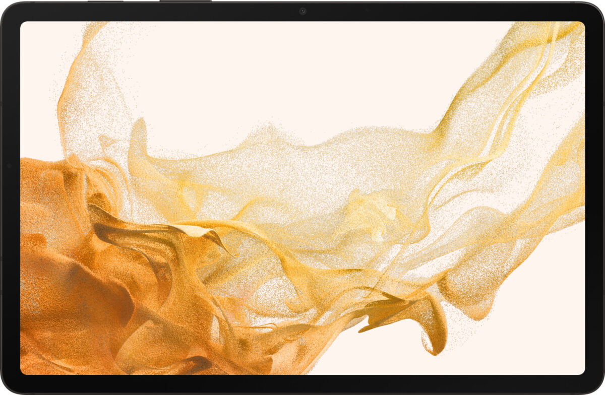 Samsung Galaxy Tab S8 128GB WiFi gris (EU)