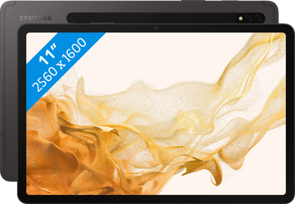 Samsung Galaxy Tab S8 256GB 5G gris