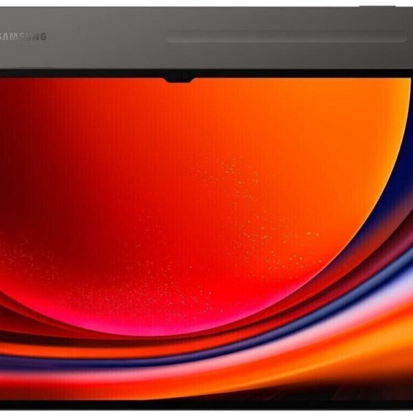 Samsung Galaxy Tab S9 Ultra 512GB WiFi gris (EU)